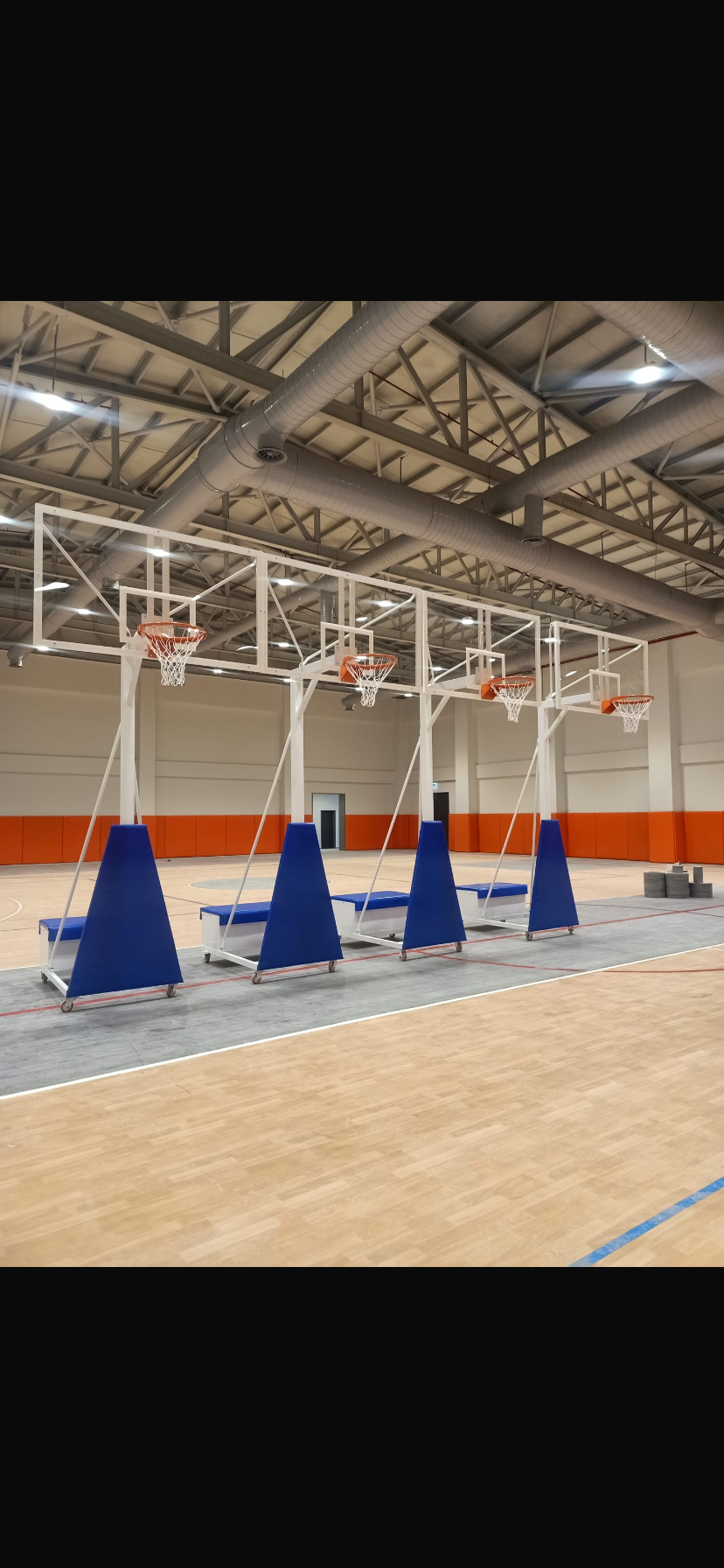Basketbol Potası Profesyonel Seyyar Model