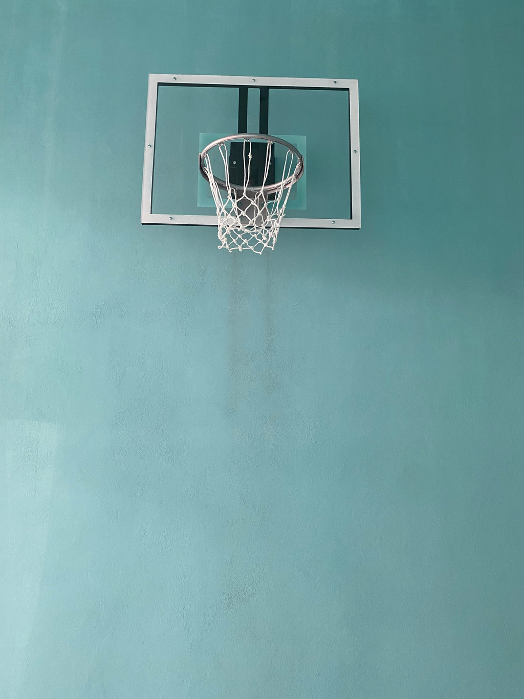 Antrenman Model Basketbol Potası | 90x120 cm Akrilik Cam | Özel Mülk | BİRLİKSPOR