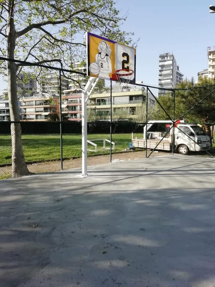 Tek direkli Basketbol potası