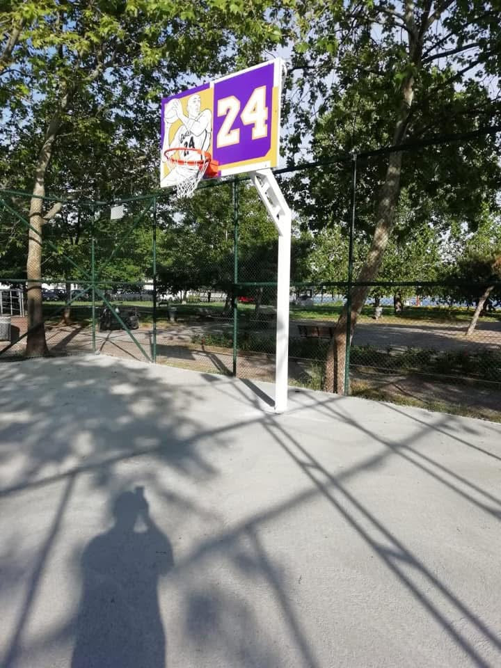 Tek direkli Basketbol potası